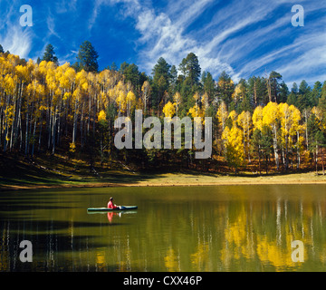 Lac de pommes de terre sur le Mogollon Rim, le Centre de l'Arizona. Entouré par Golden trembles. Banque D'Images