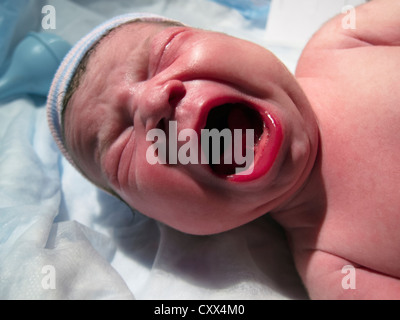 Pleurer Caucasian newborn baby boy Banque D'Images