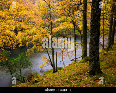 La rivière Derwent à Borrowdale près de Keswick dans le district des lacs, Cumbria, Angleterre. Banque D'Images