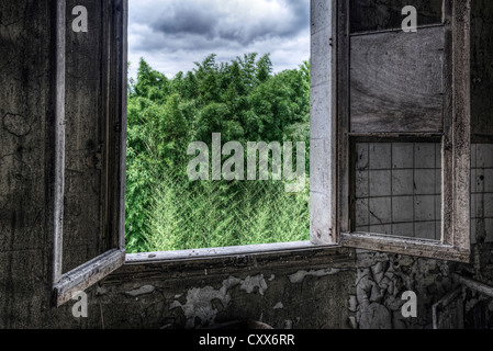 Fenêtre cassée à l'intérieur du châssis maison abandonnée Banque D'Images