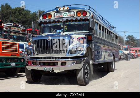 Décorée dans des couleurs vives, les bus locaux (bus de poulet) à la gare routière de la ville de Antigua Banque D'Images