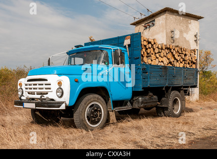 Chargement de bois abattu dans un camion Banque D'Images