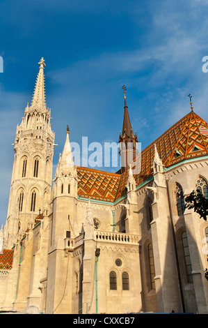 Matthias église cathédrale (Église Matyas), du quartier du château de Buda, à Budapest, Hongrie Banque D'Images