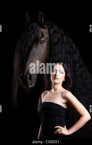 Frison frisons ou race avec jeune femme, cheval hongre, cheval noir Banque D'Images