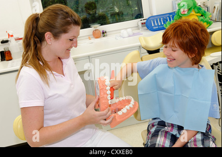 Garçon chez le dentiste, de recevoir des instructions pour des soins dentaires sur un modèle, l'hygiène dentaire, les soins dentaires, visite dentaire Banque D'Images