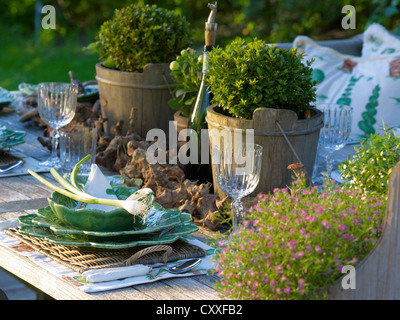 Élégamment mis en bois rustique avec table de jardin céramique fine Banque D'Images