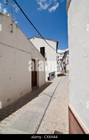 Ruelle de Setenil de las Bodegas, Pueblos Blancos, villages blancs, Andalousie, Espagne, Europe Banque D'Images