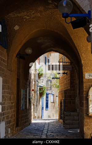 Quartier des artistes dans la vieille ville de Jaffa, Tel Aviv, Israël, Moyen Orient Banque D'Images