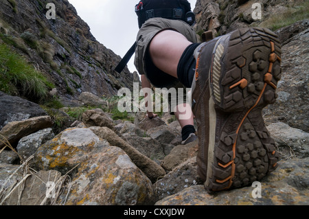 Démarrage de la randonnée, escalade sur une femme queue de randonnée, sentier de randonnée de la Sentinelle, montagnes du Drakensberg, Kwazulu-Natal, Afrique du Sud, l'Afrique Banque D'Images