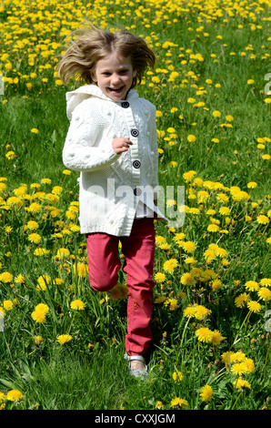 Fille, six ans, la course dans le champ de pissenlit, Ystad, Skåne, Suède, Europe Banque D'Images