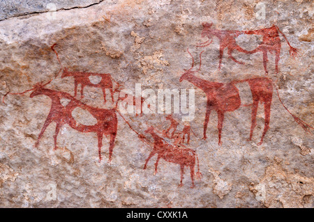 Troupeau de vaches, peint l'art rupestre néolithique à Tin Meskis, Immidir, Algérie, Sahara, Afrique du Nord Banque D'Images