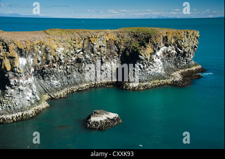 Les colonnes de basalte, des falaises sur la côte près de la Baie d'Arnarstapi, Breiðavík, Breidavik, péninsule de Snæfellsnes, l'Islande, de Snæfellsnes Banque D'Images