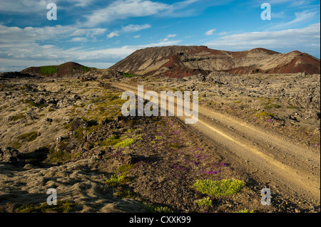 Route à travers le champ de lave de Berserkjahraun, péninsule de Snæfellsnes, Snaefellsnes, Islande, Europe Banque D'Images