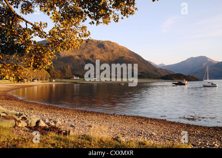 Lumière du soir à Arnisdale sur la côte pacifique du Loch Hourn dans les Highlands écossais Banque D'Images