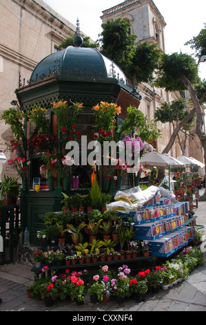 Blocage de fleurs à côté de la co-cathédrale Saint-Jean, rue de la République, La Valette, Malte Banque D'Images