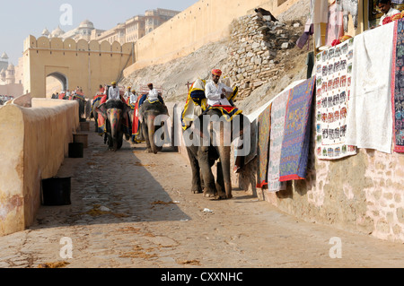 Des éléphants au Fort Amber, Fort Amer, les animaux pour l'équitation, Amer, près de Jaipur, Rajasthan, Inde du nord, Inde, Asie du Sud, Asie Banque D'Images