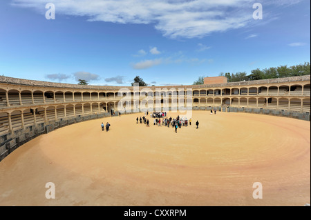 Arène de Ronda, Plaza de Toros, Ronda, province de Malaga, Andalousie, Espagne, Europe Banque D'Images