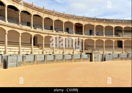 Arène de Ronda, Plaza de Toros, Ronda, province de Malaga, Andalousie, Espagne, Europe Banque D'Images