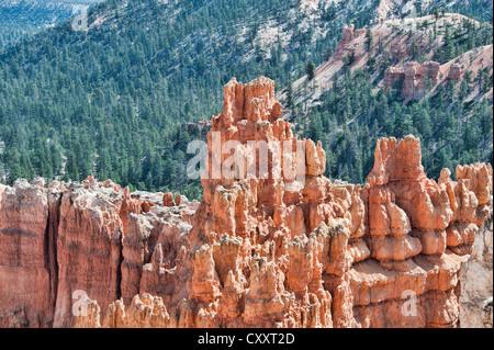 Formations rocheuses uniques dans la région de Bryce Canyon situé dans l'Utah, United States. Banque D'Images