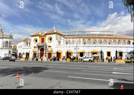 La Maestranza, Séville, Andalousie, Espagne du Sud, Espagne, Europe Banque D'Images