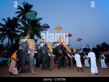 Rangée d'Éléphants décorés monté par des prêtres Holding parasol coloré au cours de Jagannath Temple Festival, Thalassery, Inde Banque D'Images