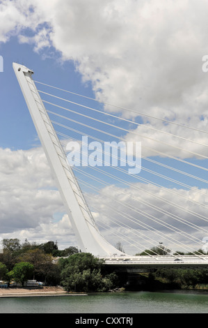 Puente del Alamillo Alamillo, pont sur le Guadalquivir, construit dans le cadre de l'amélioration des infrastructures pour l'Expo 92 Banque D'Images