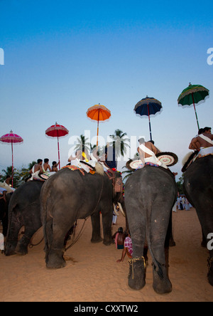 Rangée d'Éléphants décorés monté par des prêtres Holding parasol coloré au cours de Jagannath Temple Festival, Thalassery, Inde Banque D'Images