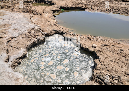 Voir les conversions de la côte de la Mer Morte Banque D'Images