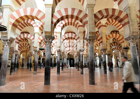 Vue de l'intérieur, colonnes, Mezquita-Catedral, Cathédrale-Mosquée de Cordoue, une ancienne mosquée, Cordoue, Andalousie, Espagne, Europe Banque D'Images