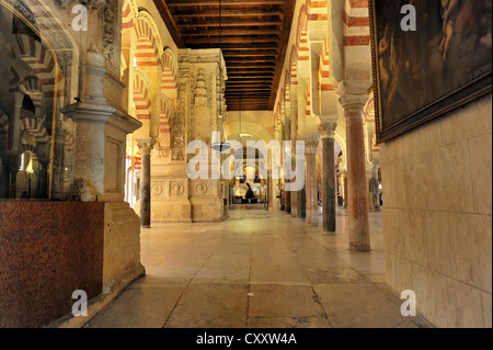 Vue de l'intérieur, colonnes, Mezquita-Catedral, Cathédrale-Mosquée de Cordoue, une ancienne mosquée, Cordoue, Andalousie, Espagne, Europe Banque D'Images