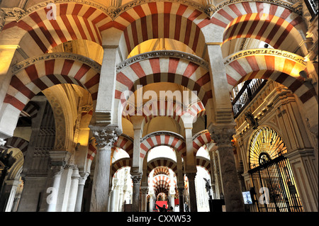 Vue de l'intérieur, colonnes, Mezquita-Catedral, Cathédrale-Mosquée de Cordoue, une ancienne mosquée, Cordoue, Andalousie, Espagne, Europe Banque D'Images