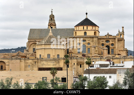 La Mezquita, La Cathédrale-Mosquée de Cordoue, Cordoue, Andalousie, Espagne, Europe Banque D'Images