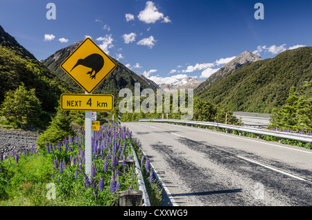 Signe de la circulation d'avertissement sur les kiwis les quatre kilomètres de route, conduire le pays sur la gauche, Arthur's Pass Road Banque D'Images
