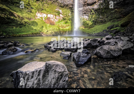 Bridal Veil Falls, Raglan, Waikato, Nouvelle-Zélande, île du Nord Banque D'Images