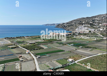 Vue depuis le pied du Château des Maures au paysage et la baie de Salobreña, Costa del Sol, Andalousie, Espagne, Europe Banque D'Images