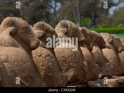 Rangée de taureaux Nandi sculpté dans bloc de pierres dans le Shore Temple de Mahabalipuram, Inde Banque D'Images