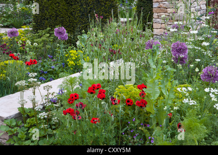 RHS Chelsea Flower show 2012 jardins London UK Banque D'Images