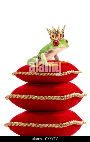 Frog portant une couronne d'or assis sur des coussins, illustration Banque D'Images