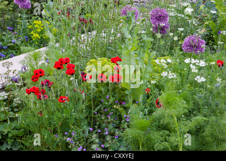 RHS Chelsea Flower show 2012 jardins London UK Banque D'Images