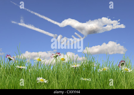 Champ de fleurs, des nuages en forme de poignée de main, illustration Banque D'Images