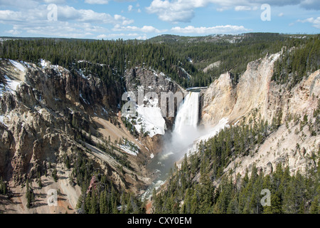 Cascade sur la rivière Yellowstone Banque D'Images