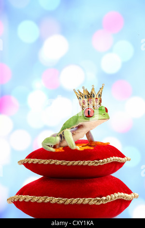 Frog portant une couronne d'or assis sur des coussins, illustration Banque D'Images