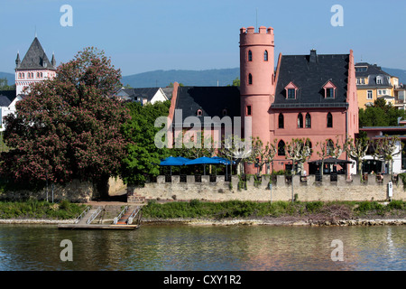 Château de la Basse à Eltville dans le Rheingau, Hesse, Allemagne Banque D'Images