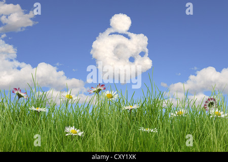 Champ de fleurs, les nuages en forme d'une tirelire, illustration Banque D'Images