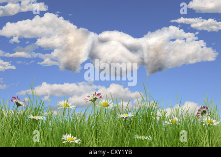 Champ de fleurs, des nuages en forme de poignée de main, illustration Banque D'Images