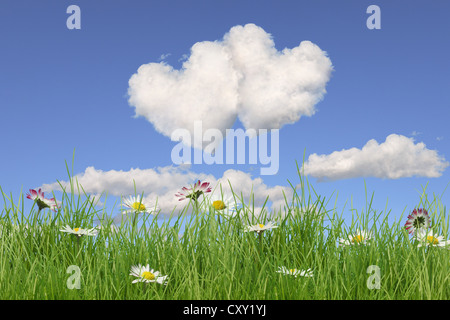 Champ de fleurs, deux nuages en forme de coeur, illustration Banque D'Images