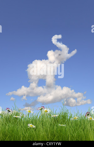 Champ de fleurs en forme de nuage, comme un éléphant, illustration Banque D'Images