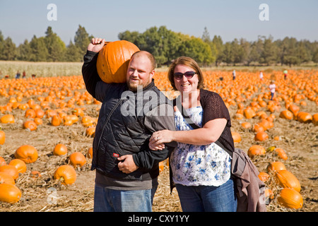 Une famille recueille des citrouilles pour l'Halloween à partir d'une citrouille dans le centre de l'oregon. Banque D'Images