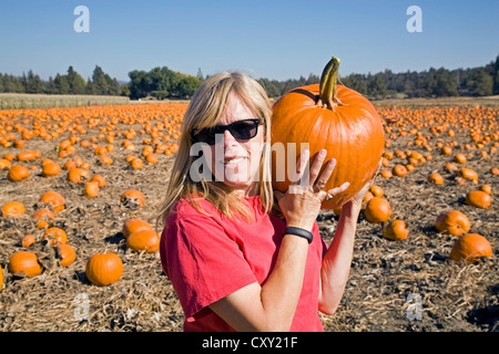 Une femme recueille des citrouilles pour l'Halloween à partir d'une citrouille dans le centre de l'oregon. Banque D'Images