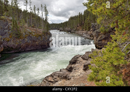 Bord de l'Upper Falls, Grand Canyon de la Yellowstone River, North Rim, le Parc National de Yellowstone, Wyoming, USA Banque D'Images